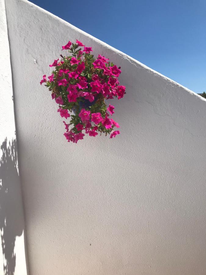 Bonita Casa Adosada Empuriabrava Εξωτερικό φωτογραφία